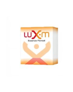 SINLUX 13 GL