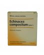 Echinacea Comp S 10f f