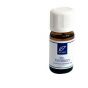 Dr Taffi OE Patchouly 10Ml