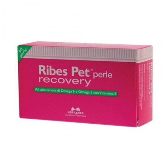 Ribes Pet Recovery 60Prl